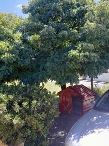 Red Kennel Budget Private Rooms - Trott Park