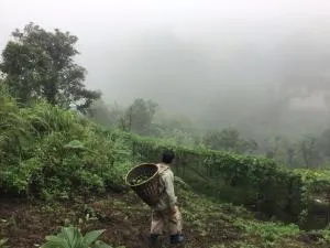 Joyful Haven Home - Ban Ngiu Thao Mai