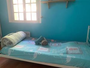 Villas Mas Chamarel a Sanary-sur-Mer au milieu des vignes et oliviers : photos des chambres