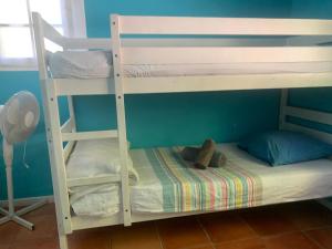 Villas Mas Chamarel a Sanary-sur-Mer au milieu des vignes et oliviers : photos des chambres