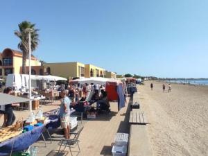 Appartement T2 Confortable, 45 Pers, Plage Grazel, Parking Privé - FR-1-796-86