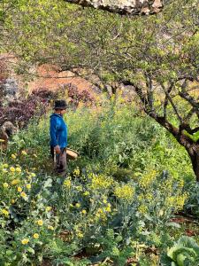 MAMAs House Mộc Châu