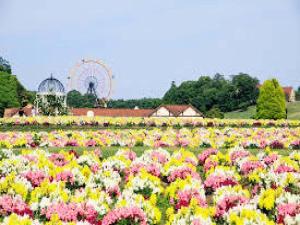 Hotel Royal Garden Kisarazu Vacation STAY 72210