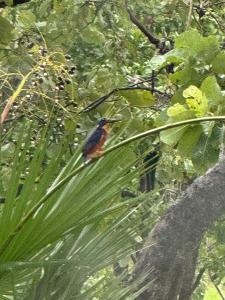 Darwin Boomerang Motel and Caravan Park