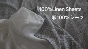 宮古島の自然豊かで静かなエリアroom0オリジナルインテリア小物が溢れる空間