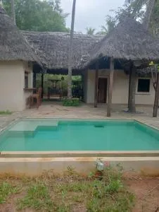 Shark Room - Matsangoni