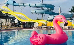 Campings Bungalow 4-6 personnes : photos des chambres