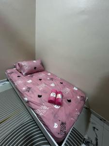 Ariana Homestay