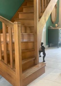 B&B / Chambres d'hotes La Bastide De Negra : photos des chambres