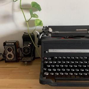 Villas Villa dans la nature : photos des chambres