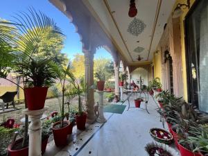 The Boho Heritage Haveli