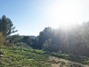 Jardin dans les Pins