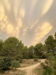 Appartements Jardin dans les Pins : photos des chambres