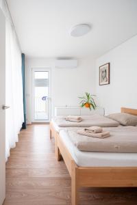 New apartment near the centre of Brno