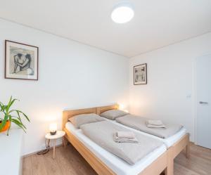 New apartment near the centre of Brno