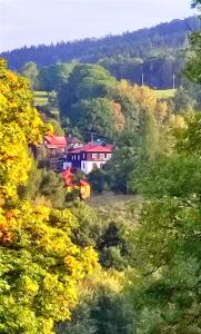Double Room room in Pension Helene