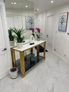 Elegant Escape