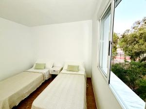 Calma Marina San José