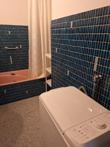 Appartements Chez Isabelle et Florent - Logis Familial du Lac : photos des chambres