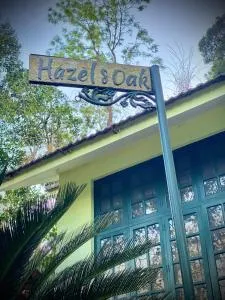 Hazel and Oak - Vythiri