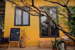 Moc Chau Campfire - Vườn tôi chiều tím - Làng Môn