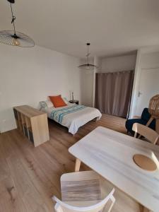 Appartements Studio neuf climatise wifi 27m2 : photos des chambres
