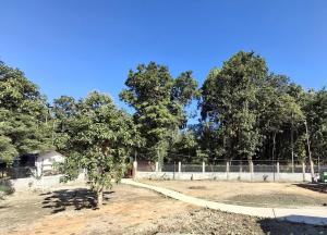 Ejaar Homestay