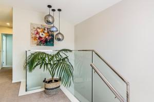 Auckland Golden Phoenix Holiday Homes