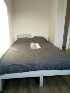 Apartament 22