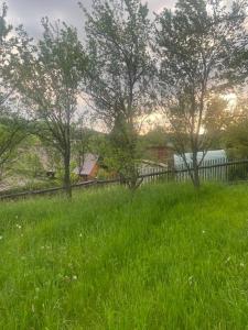 Kanciapa