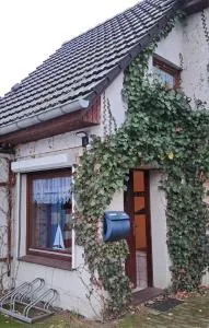 Birkenweg 3 Apartment - 施瓦岑贝克