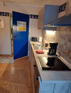 Birkenweg 3 Apartment