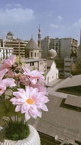 Cairo Lodge Hostel