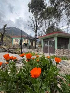 your's homestay - Badrinath