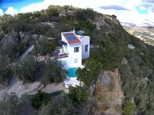 EncinaGorda - Acebuches