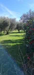 Villetta 3 km dal mare