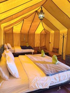 Starry Dunes Camp