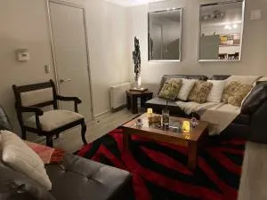 More than a home, an experience !! - Llanquihue