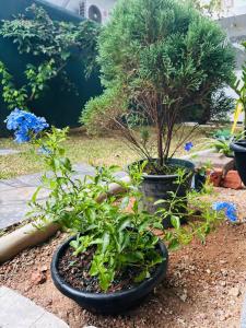 Hilltop Serenity Hikkaduwa