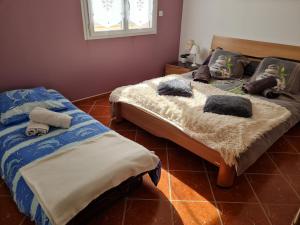 Maisons de vacances L occitane : photos des chambres