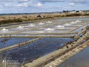 Maisons de vacances Maison Batz sur Mer Presqu-ile de Guerande : photos des chambres