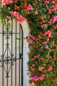Beautiful beach house in Estepona