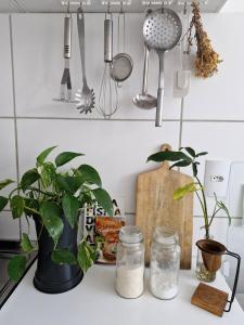 Apartamento inteiro
