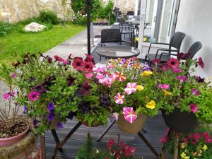 Appart'hotels Les Bains Douches : photos des chambres