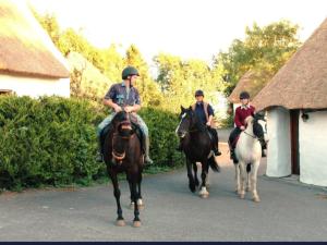 Thatched 4 persons Cottage