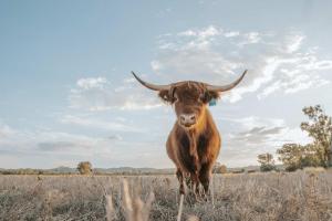 Myall Vale Rest House by Tiny Away