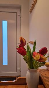 Central apartment in Buchholz idN