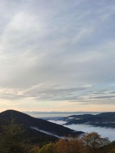 Maisons de vacances Yourte contemporaine : photos des chambres