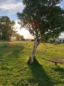 La Martinna 2 - Trinidad