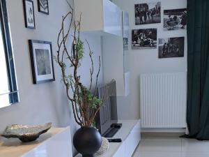 Apartament- Have a Nice Day